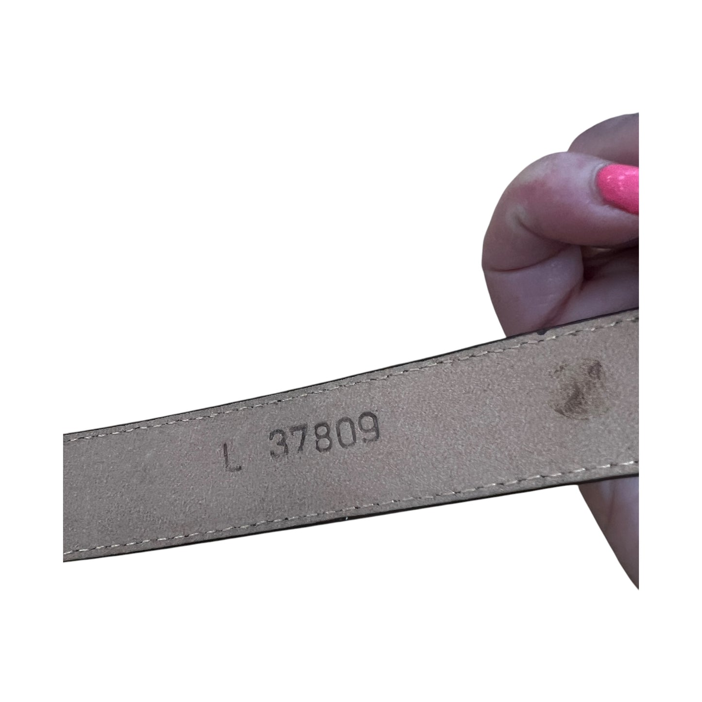 Belt By Brighton In Brown