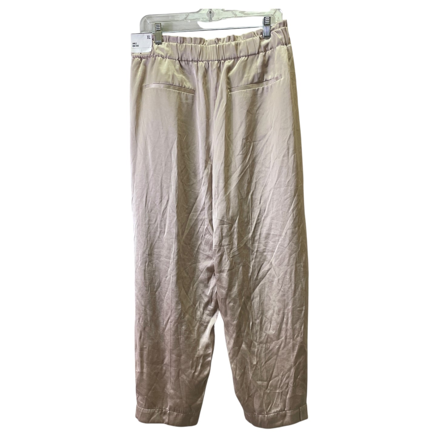 Pants Other By Express In Taupe, Size:16