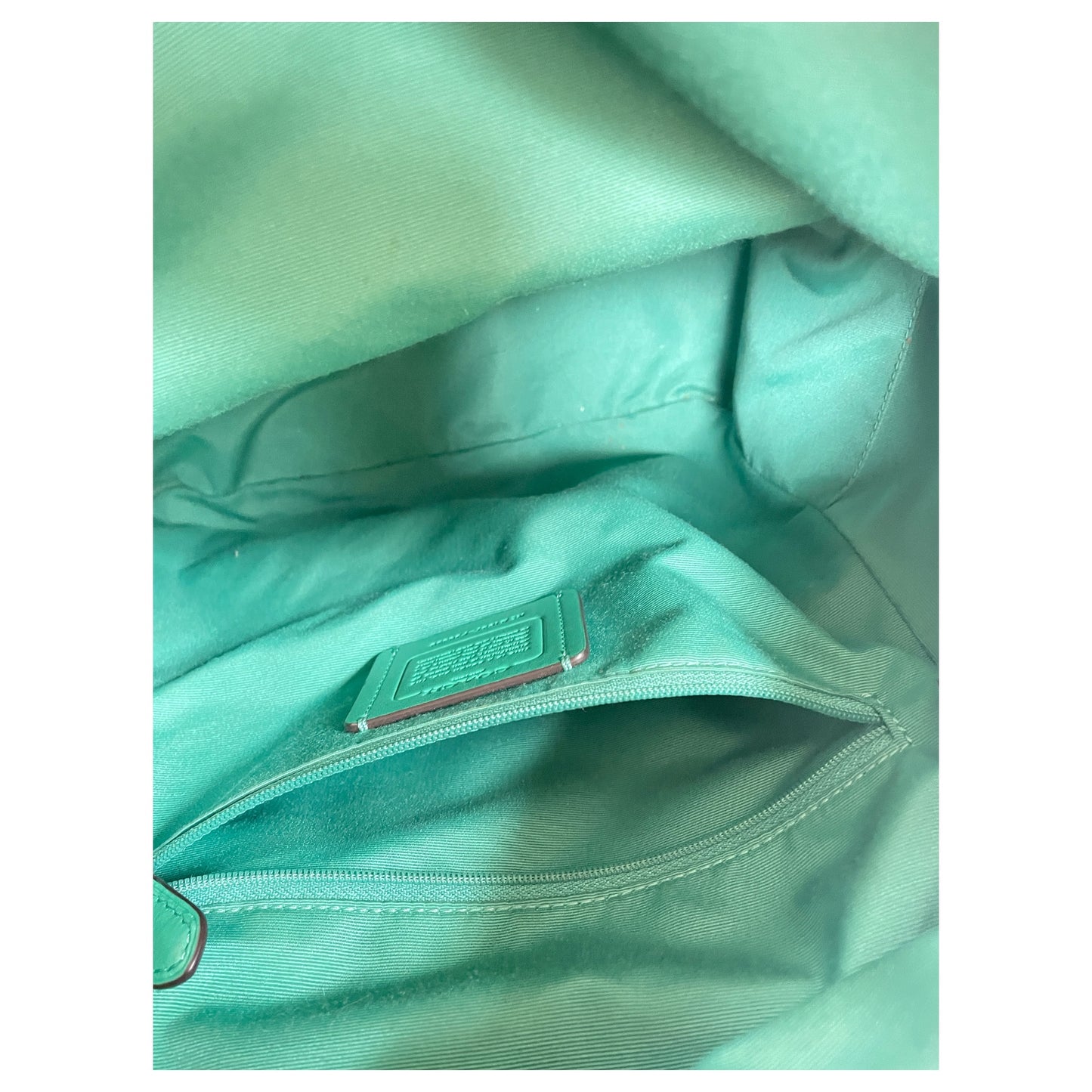 Backpack Designer By Coach In Green, Size:Medium