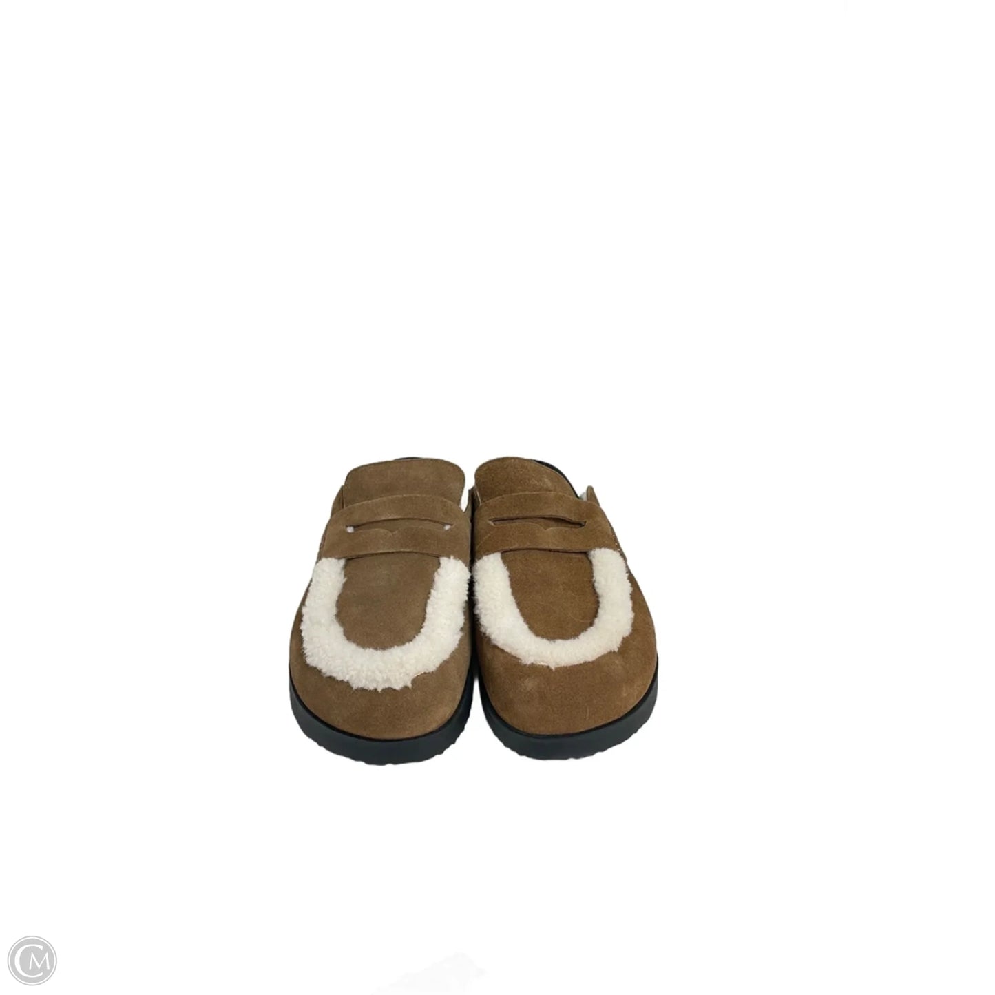 Shoes Flats By Steve Madden In Brown & Cream, Size:10