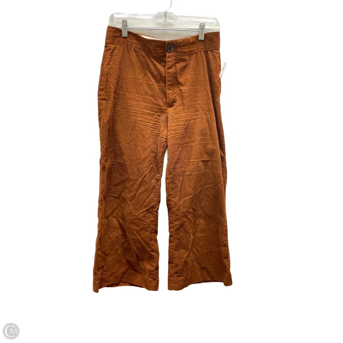 Pants Corduroy By Zara Women In Brown, Size: M