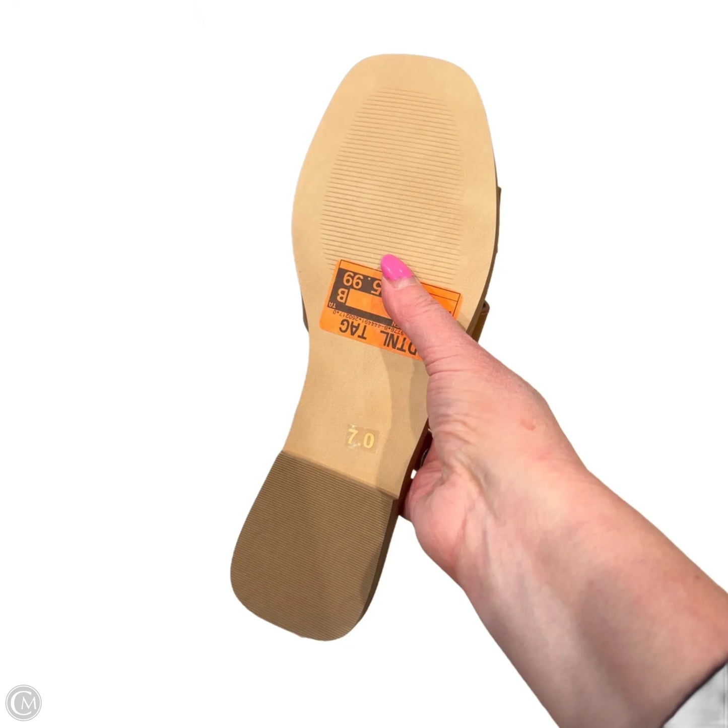 Sandals Flats By Steve Madden In Brown, Size: 7