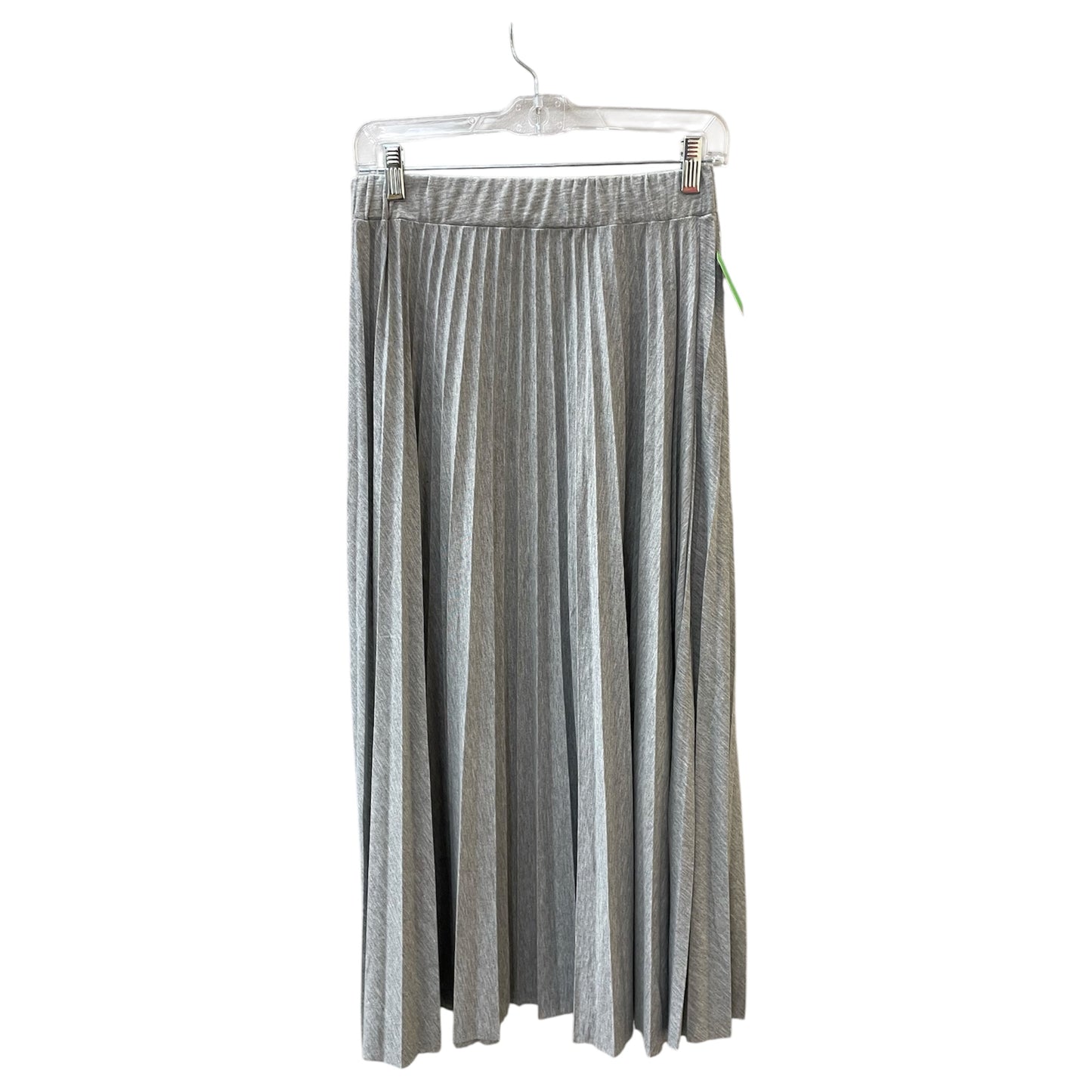Skirt Maxi By Truth In Grey, Size:Xs