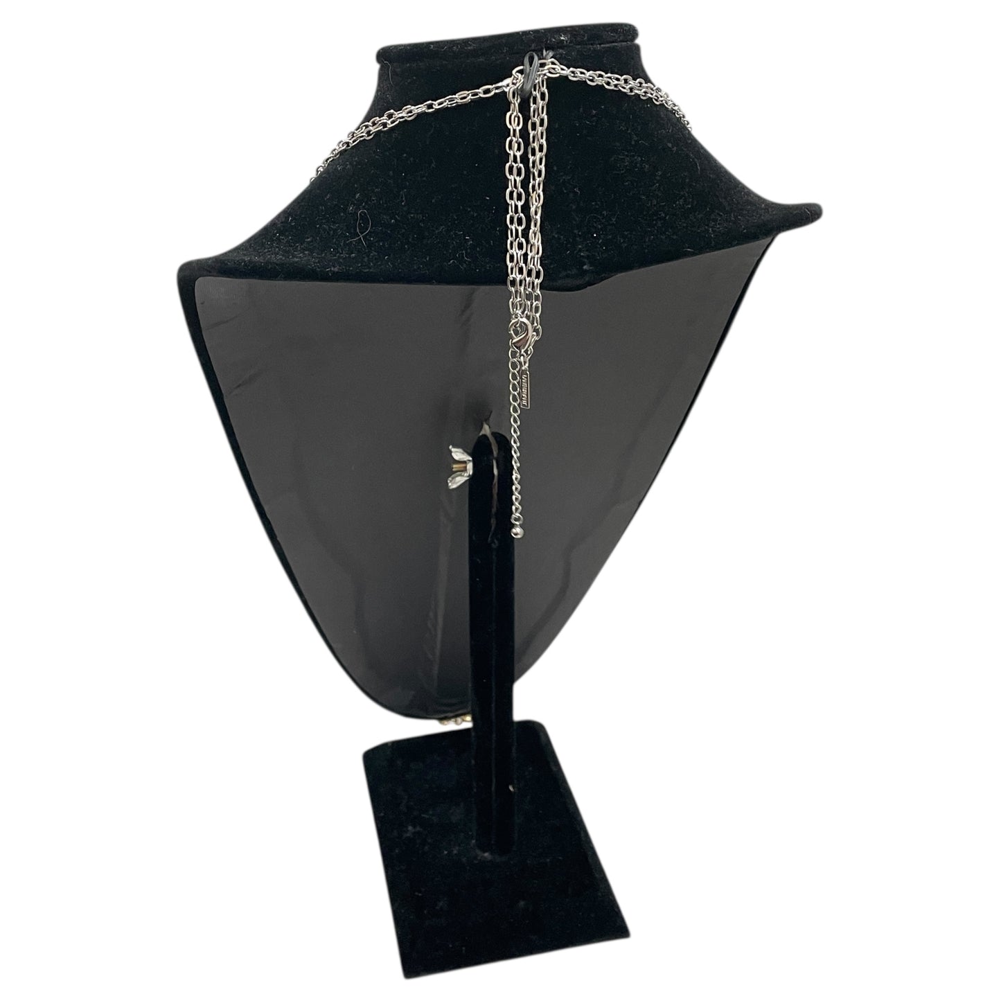 Necklace Chain By Lane Bryant In Gold & Silver