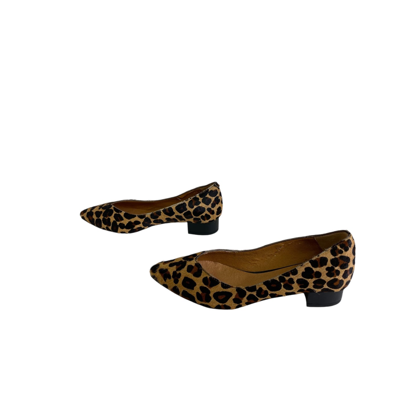 Shoes Flats By Cme In Animal Print, Size:7