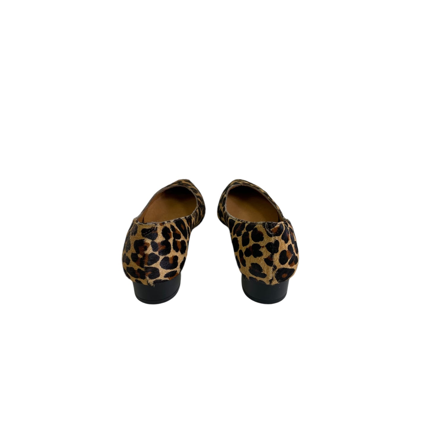 Shoes Flats By Cme In Animal Print, Size:7