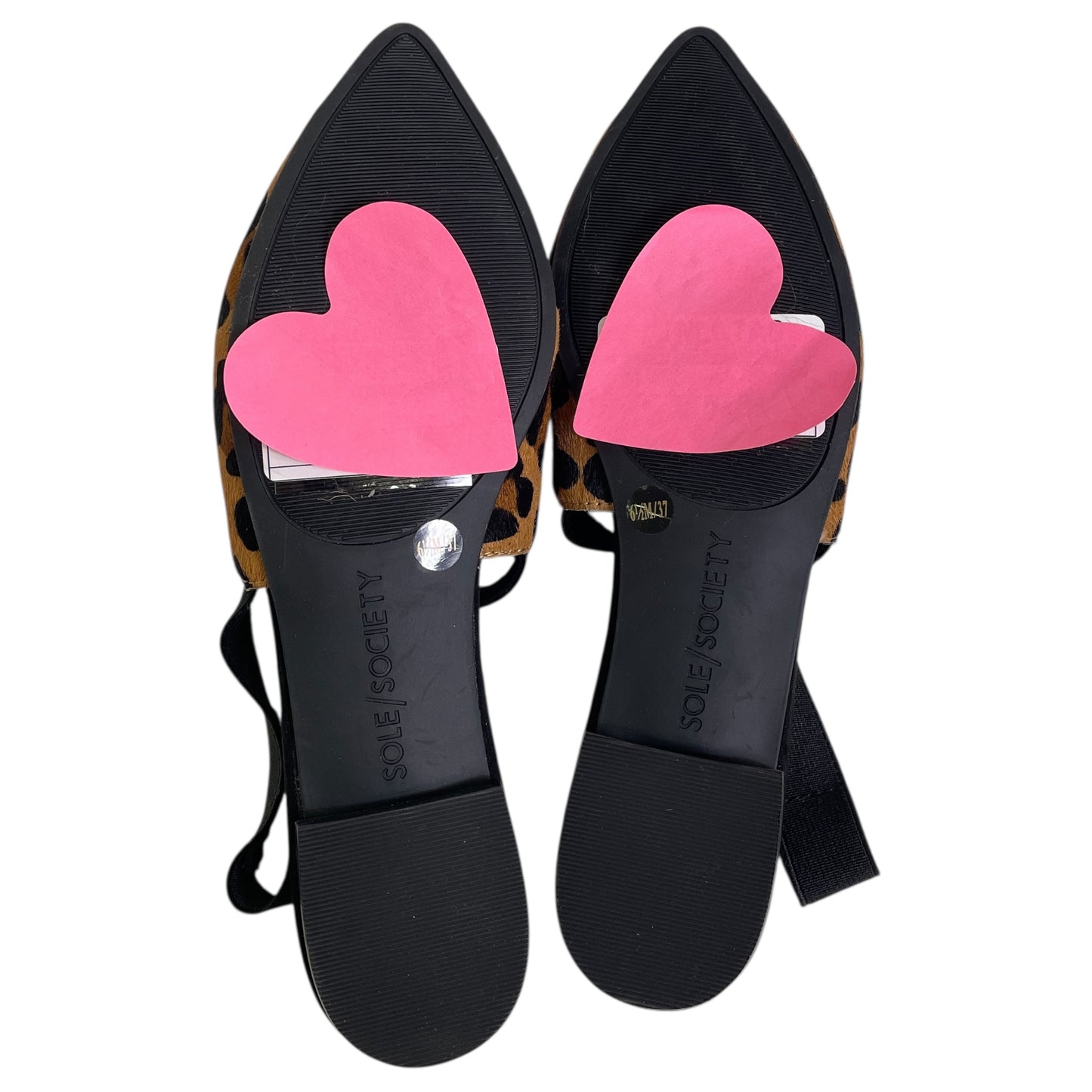 Shoes Flats By Sole Society In Animal Print, Size:6.5