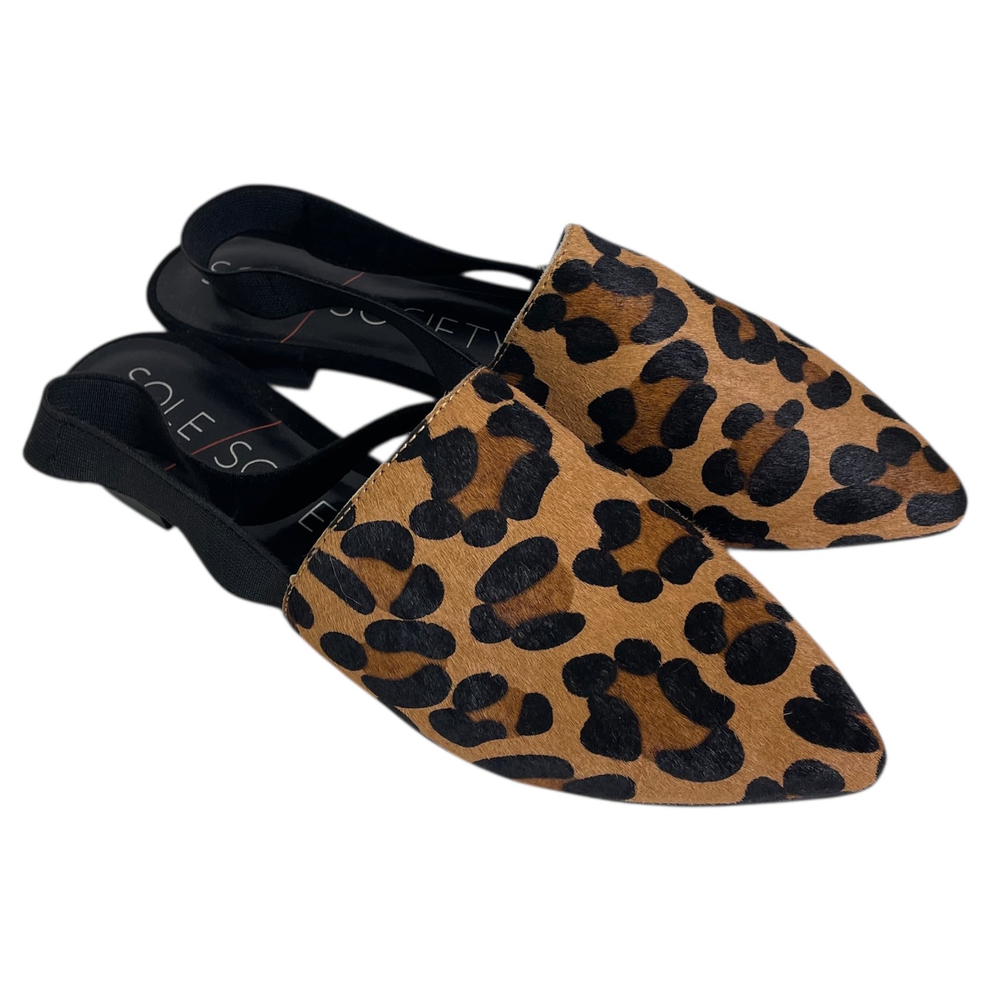 Shoes Flats By Sole Society In Animal Print, Size:6.5