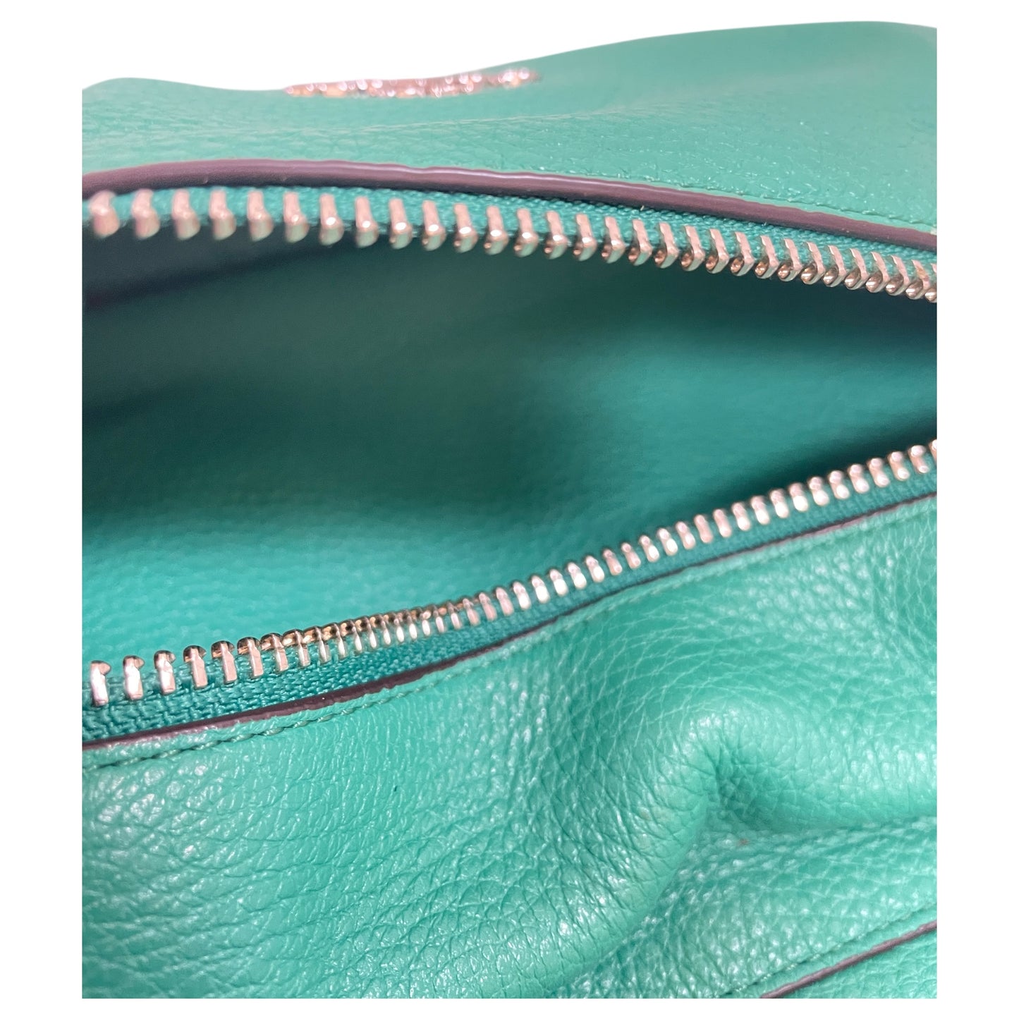 Backpack Designer By Coach In Green, Size:Medium