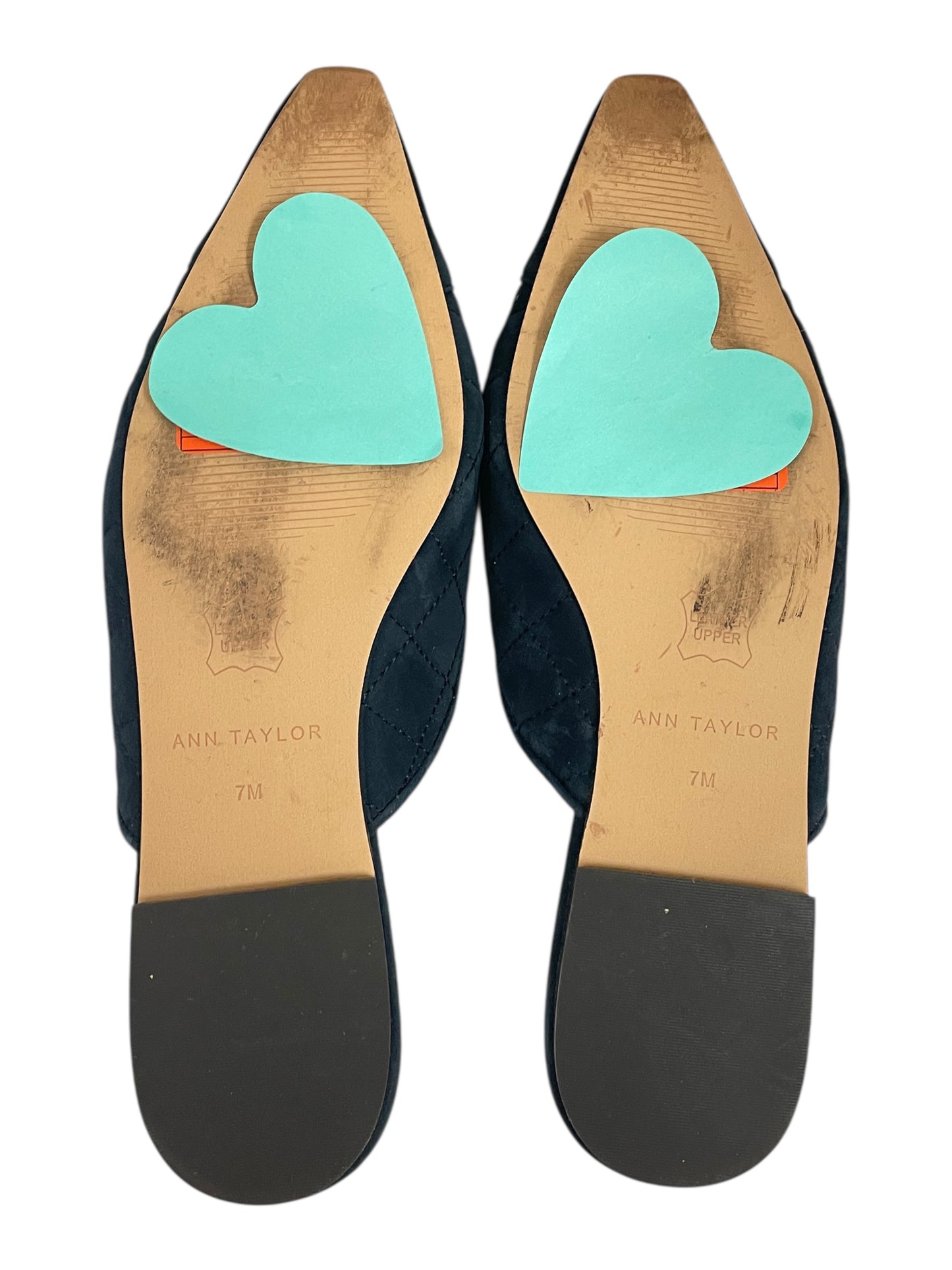 Shoes Flats By Ann Taylor In Blue, Size:7