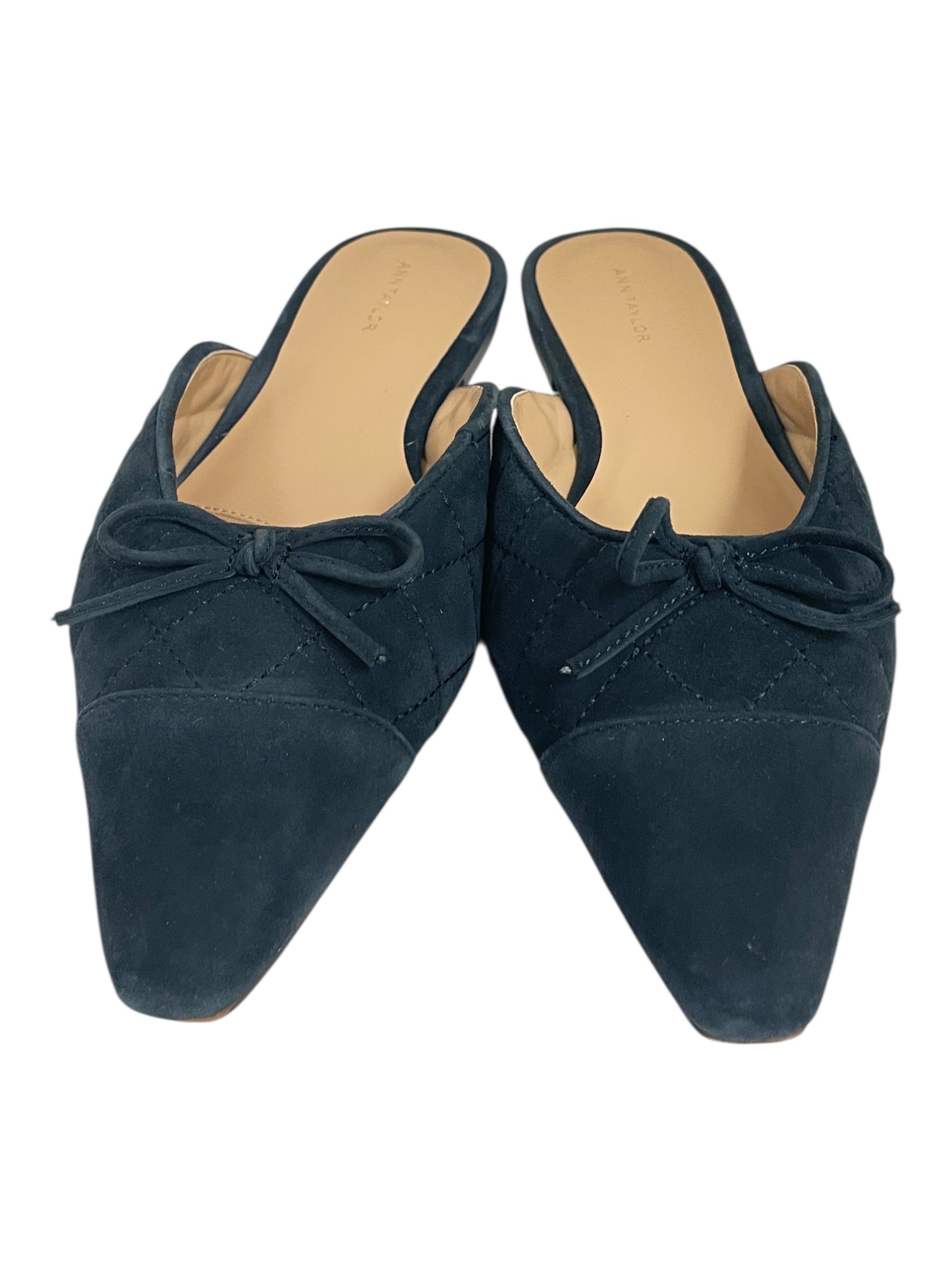 Shoes Flats By Ann Taylor In Blue, Size:7